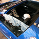 Illustration for article titled Goodwood Festival of Speed: A Teaser Gallery